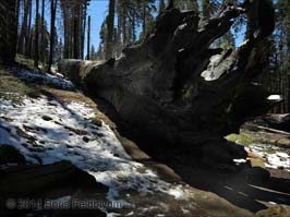 20140428102sc_Yosemite_ref2