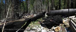 20140428104sc_Yosemite_ref2