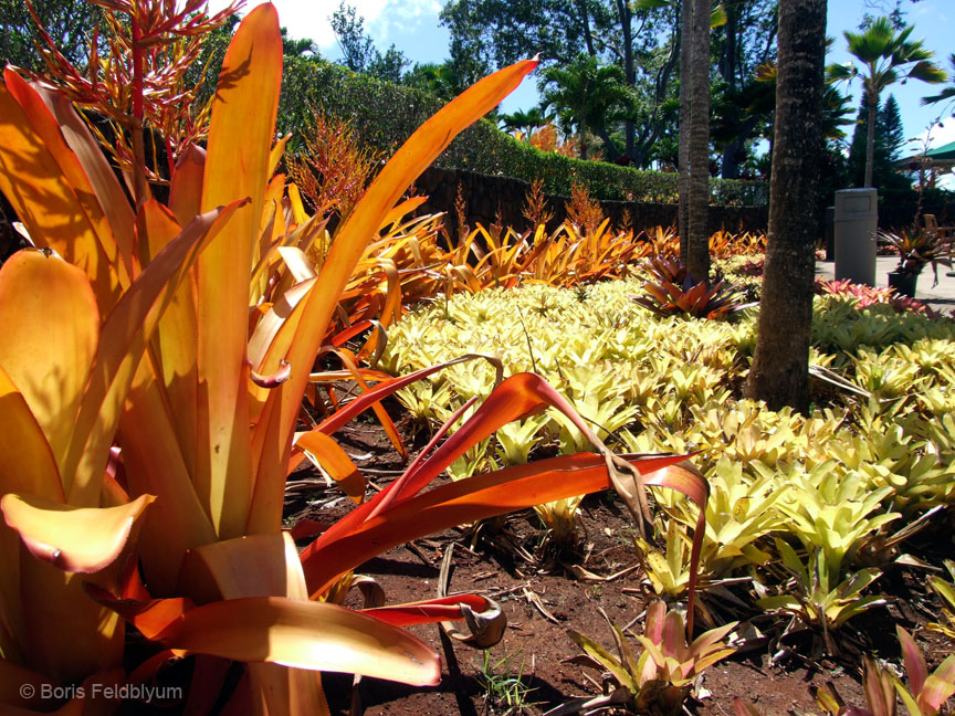 20100924402sc_Honolulu_HI