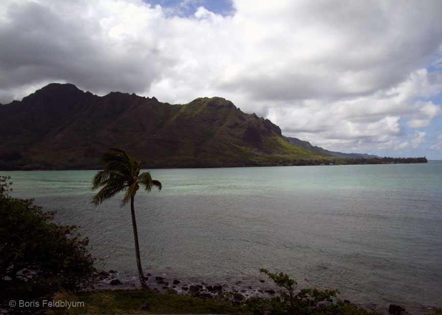 20100924538sc_Honolulu_HI