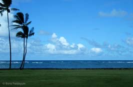 20100924541sc_Honolulu_HI