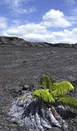 20100928156sc_Island_of_HawaiiHI