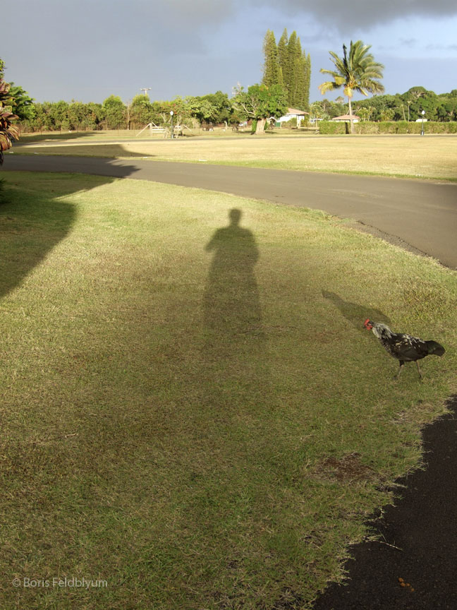 20100930188sc_Kauai_HI