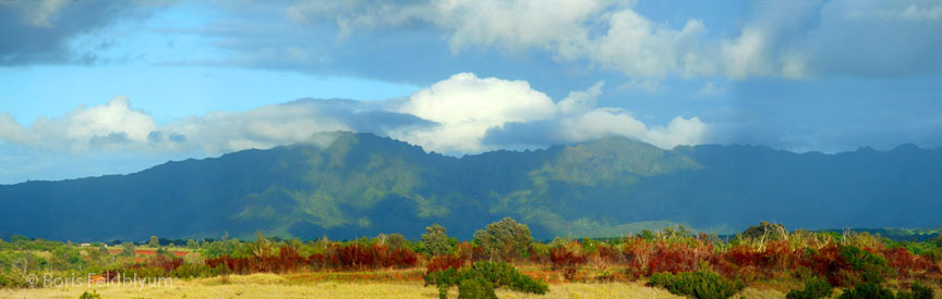 20101001049sc_Kauai_HI