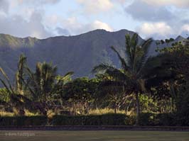 20100930167sc_Kauai_HI