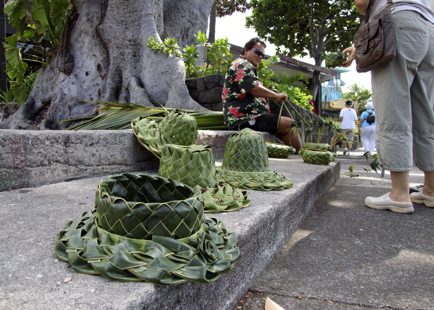 20100929017sc_Kona_HI