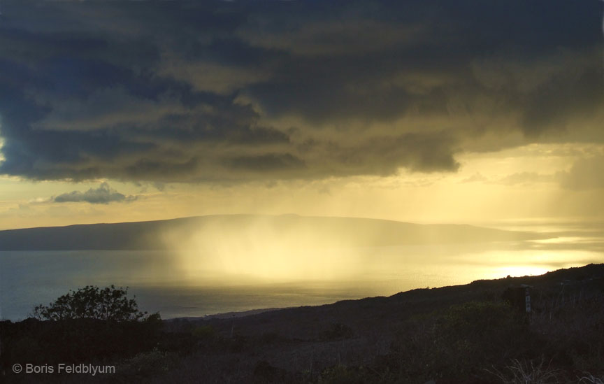 20100926398sc_02_HI_Maui