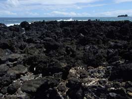 20100926109sc_HI_Maui