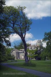 20130529065sc_Balto_Cylburn_Arboretum