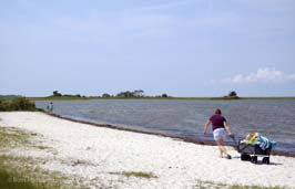 20210809061sc_AssateagueIsland