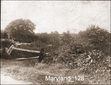 Maryland_128w