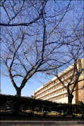 2004012223-24w_doubletree.jpg (72670 bytes)