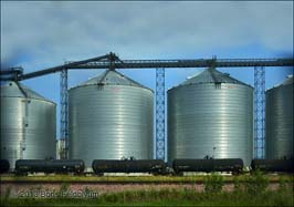 20130823081sc_MN_Lake_Crystal_Rt_60