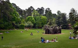 20180505002sc_Sarah_Duke_Gardens_Durham