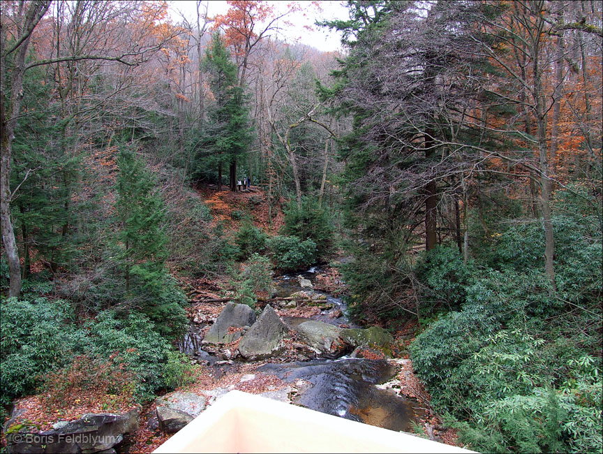 20071117091sc_Fallingwater