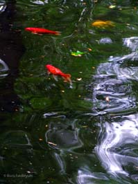 20100605031sc_Phila_Barnes_Foundation