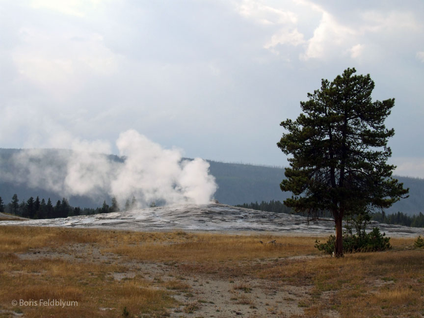 20060908222sc_Yellowstone_WY