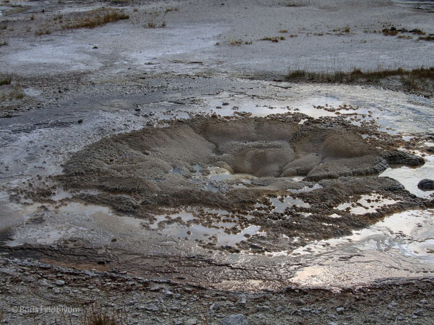 20060908232sc_Yellowstone_WY