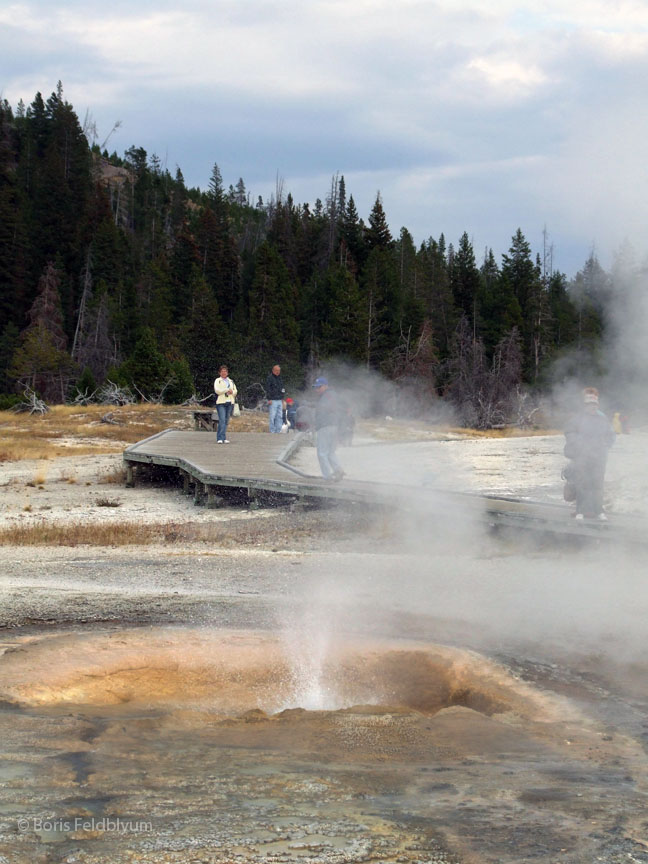 20060908271sc_Yellowstone_WY