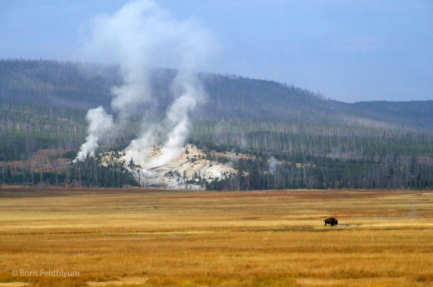 20060909183sc_Yellowstone_WY