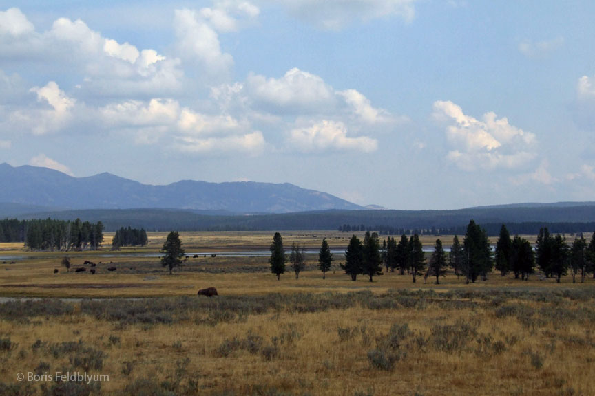 20060909338sc_Yellowstone_WY