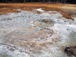 20060908261sc_Yellowstone_WY