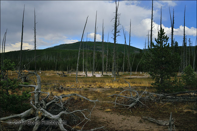 20130825302sc_WY_Yellowstone