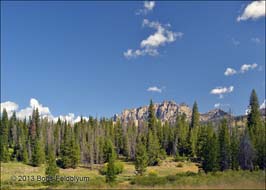 20130825113sc_WY_Grand_Teton_Rt_26