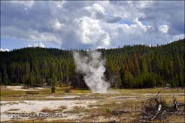 20130825251sc_WY_Yellowstone