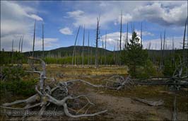 20130825335sc_WY_Yellowstone