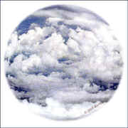 2002082624_02_02web.jpg (47489 bytes)