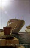 Enchantment_oftheSeas_2003042110w.jpg (28910 bytes)