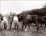 Inspecting the polo ponies_01_02w.jpg (53779 bytes)