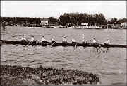 rowing_05.jpg (55695 bytes)